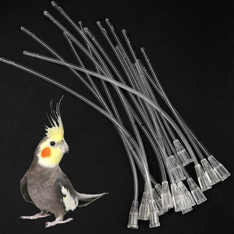 Bird Parrot Feeder Tube, Baby  - Feeding Baby Food บทวิจารณ์และราคา